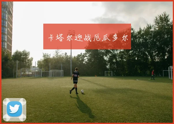 卡塔尔迎战厄瓜多尔