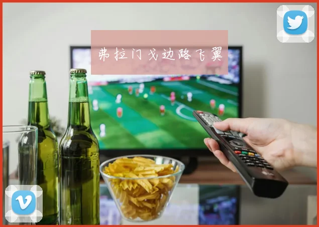 弗拉门戈边路飞翼