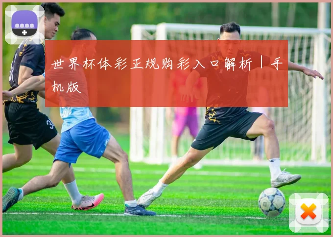 世界杯体彩正规购彩入口解析｜手机版