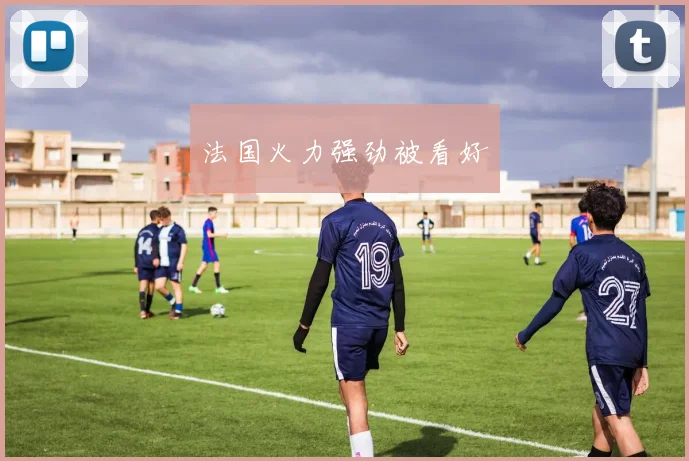 法国火力强劲被看好