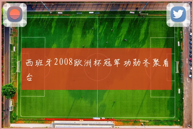 西班牙2008欧洲杯冠军功勋齐聚看台